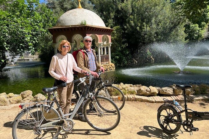 Andalusia in 5 days from Seville, tours and private transfer