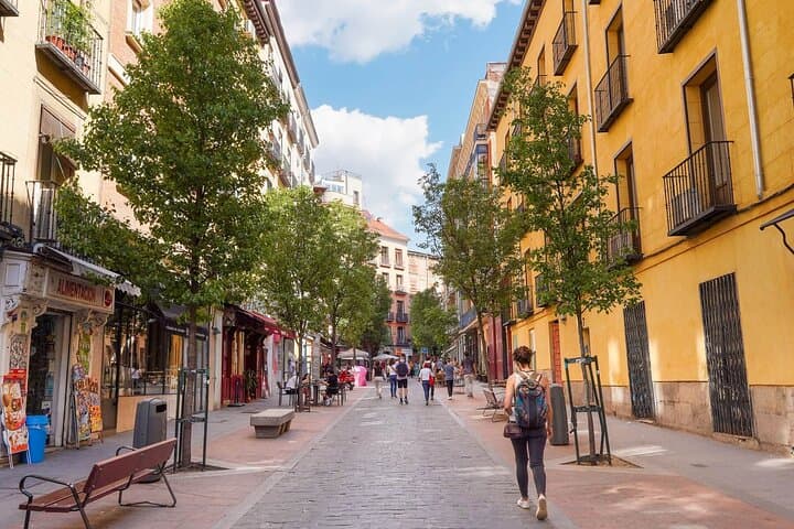 Madrid Panoramic Sightseeing Guided Tour