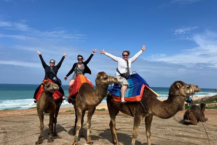 Full Day Private Tangier Tour From Malaga