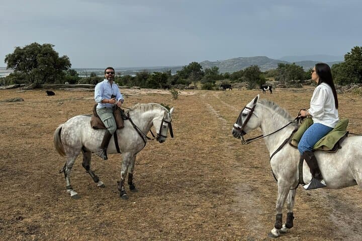 Horseback riding from Madrid