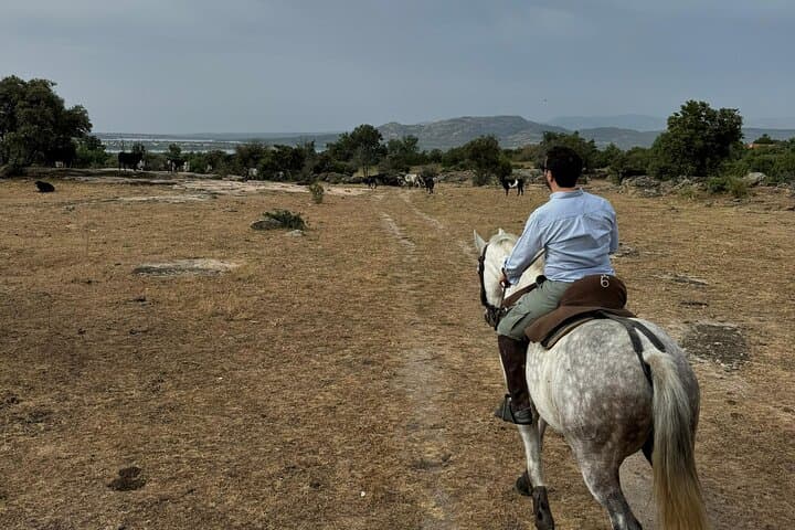 Horseback riding from Madrid