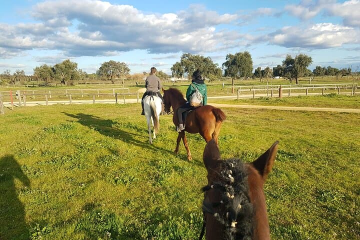 Horseback riding from Madrid