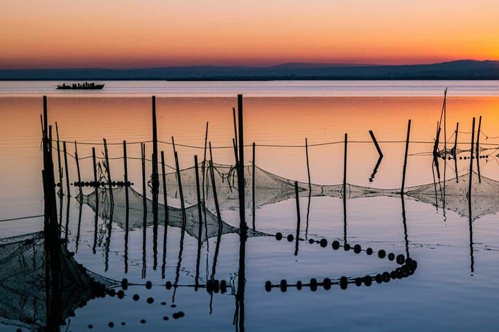 From Valencia: Albufera Natural Park with Sunset Boat Tour