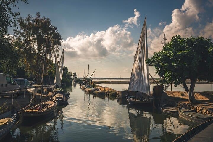 From Valencia: Albufera Natural Park with Sunset Boat Tour