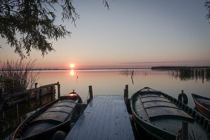 From Valencia: Albufera Natural Park with Sunset Boat Tour