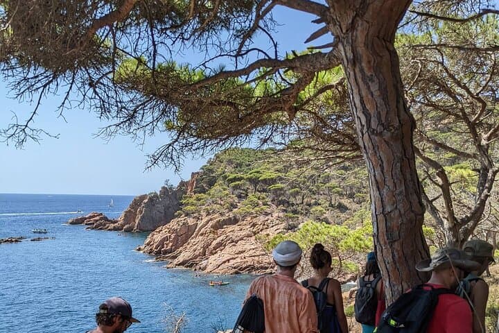 Costa Brava Tour: Tossa de Mar Easy Hike & Snorkel from Barcelona