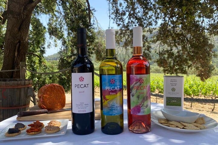 Alcudia Vineyard Tour and Exclusive Wine Tasting Experience