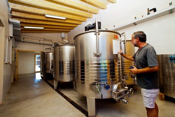 Alcudia Vineyard Tour and Exclusive Wine Tasting Experience