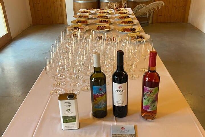 Alcudia Vineyard Tour and Exclusive Wine Tasting Experience