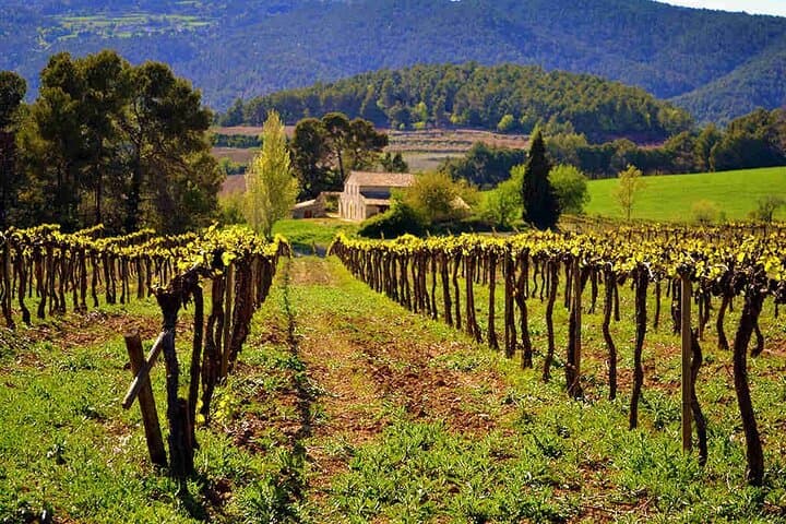 Coast and mountain tour in Catalonia