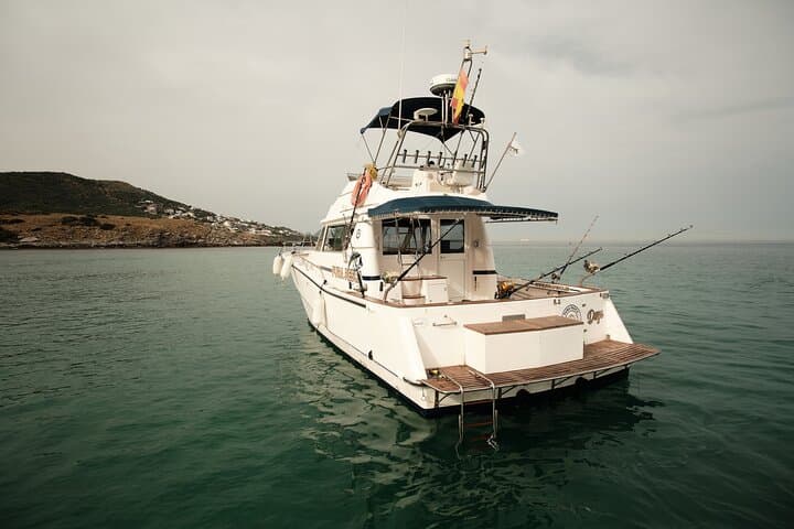 Private Tour with Dolphin Watching in Algeciras Bay