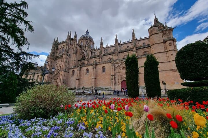 Salamanca Cathedral