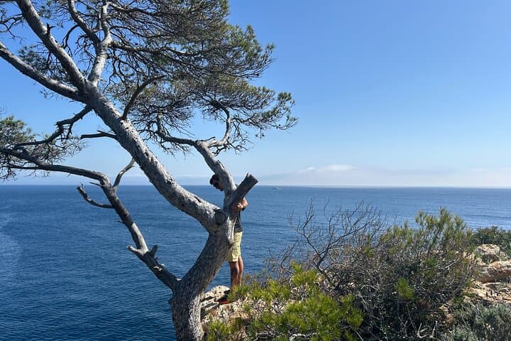 Mallorca Secret Coves Land Rover Private Tour