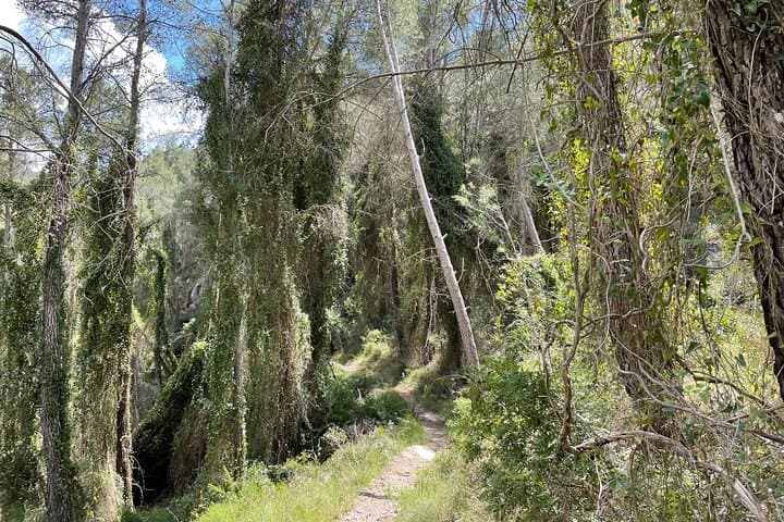 Hiking in Montanejos and swim in Thermal Springs - OFFICIAL GUIDE