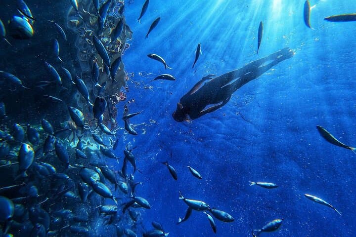 Snorkelling in the bay of El Perchel