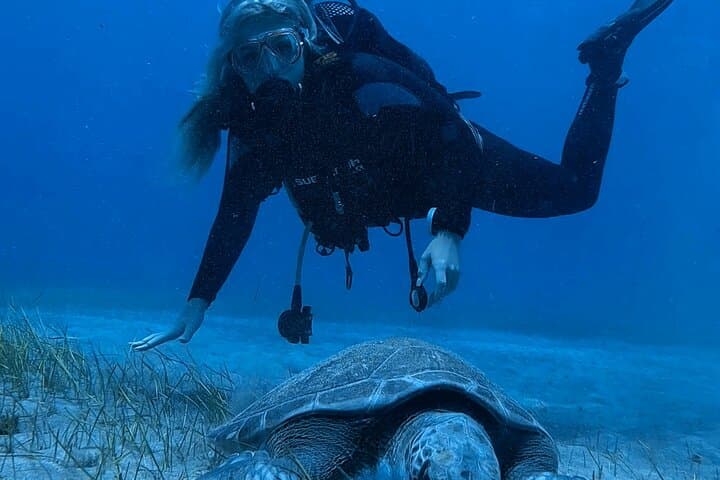 Scuba Experience in Tenerife with Guide