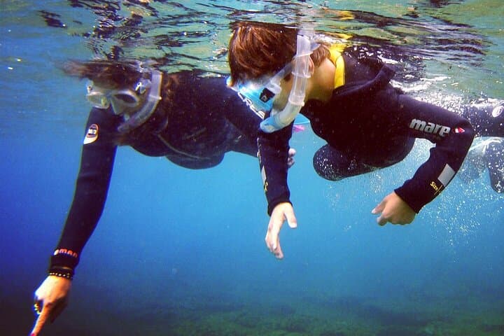Guided Snorkelling Experience in South of Gran Canaria
