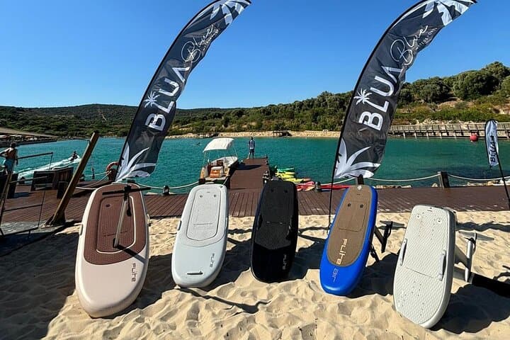 Amazing watersports rentals & sales in a beautiful setting!