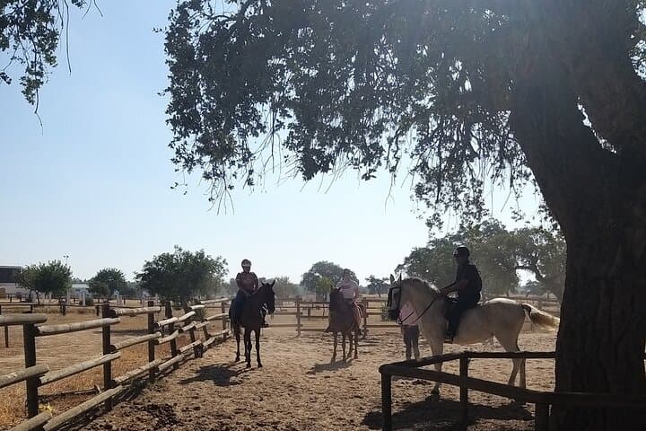 Horseback riding from Madrid