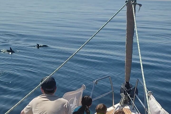 Sailing Adventure: Sailing, Dolphins and Relaxation with Drinks
