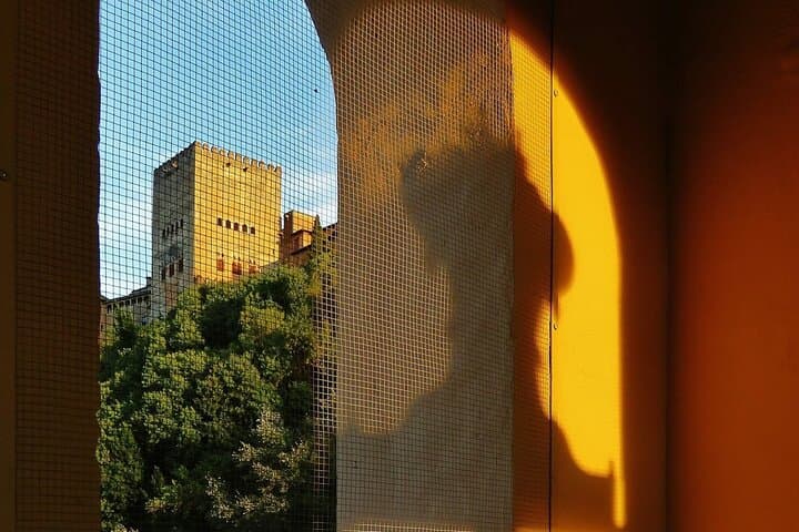 Granada & Alhambra 2 - Day private Historical Tour