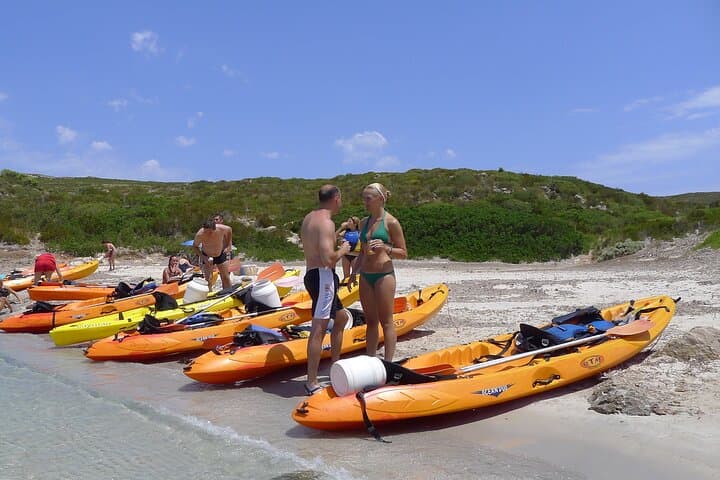 Kayaking and Snorkeling Tour in the Marine Reserve
