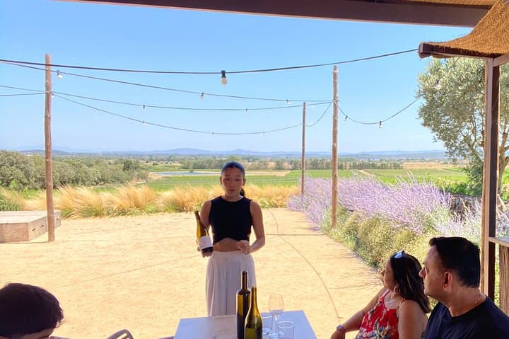 Costa Brava Coves Towns and Winery Private Tour