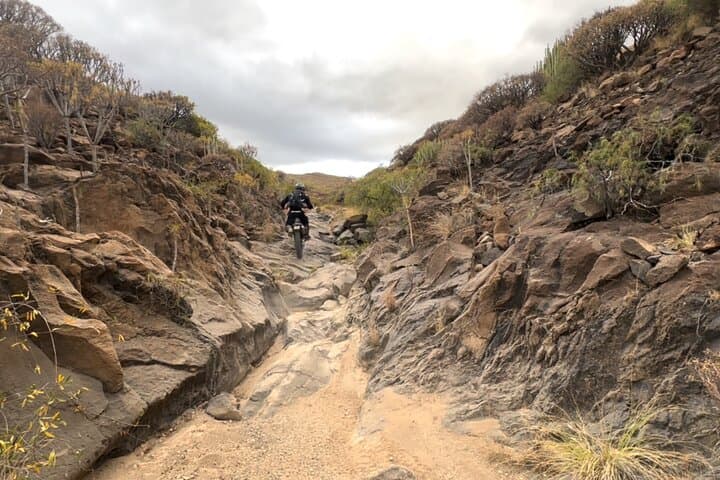 Private Motorbike Tour Excursion in Tenerife