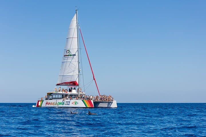 Catamaran Trip in Alcudia