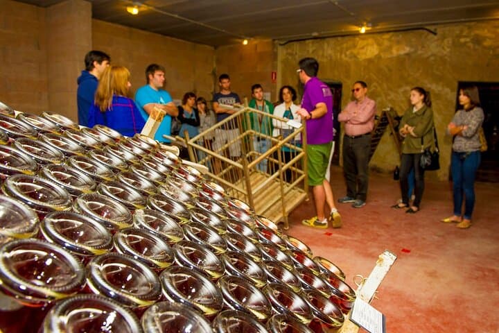 Cava Making Experience at the Local Winery in Barcelona