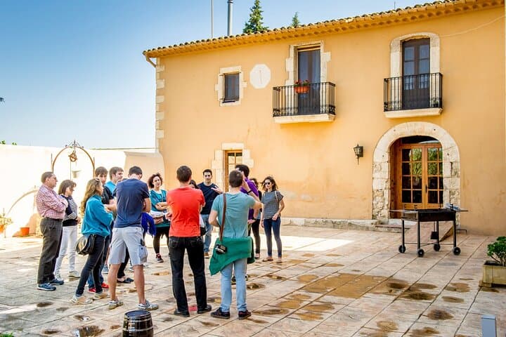 Cava Making Experience at the Local Winery in Barcelona