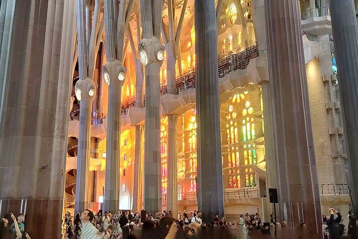 Lights and Shadows of the Sagrada Familia With Ticket And Guide