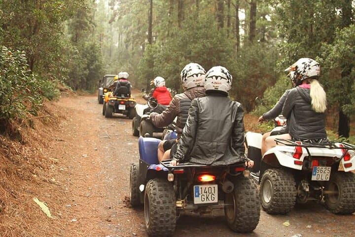 Forest Quad Trip in South Tenerife