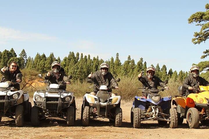 Forest Quad Trip in South Tenerife