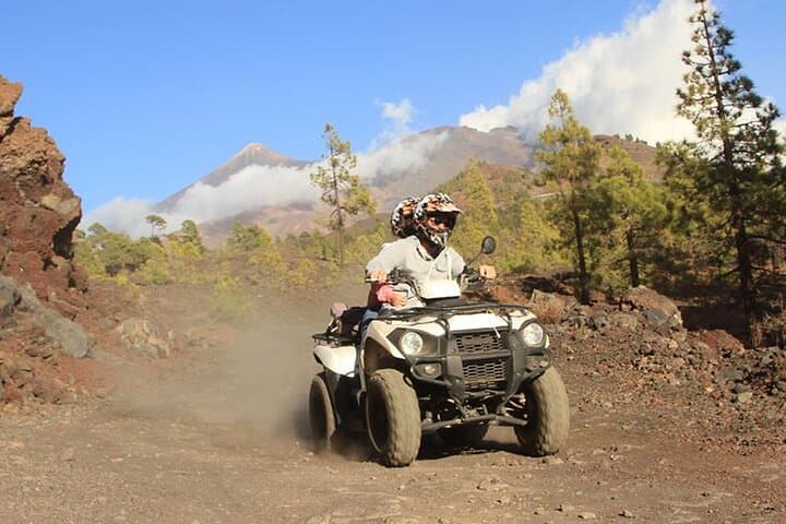 Forest Quad Trip in South Tenerife