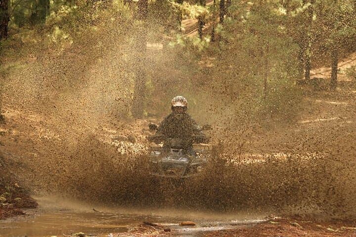 Forest Quad Trip in South Tenerife