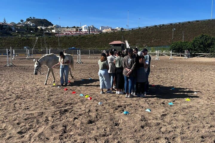 Transforming Experience with Horses Connect and Enjoy