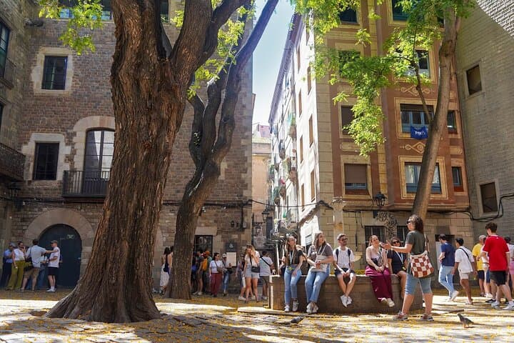 Discover the Gothic Quarter and the Cathedral of Barcelona