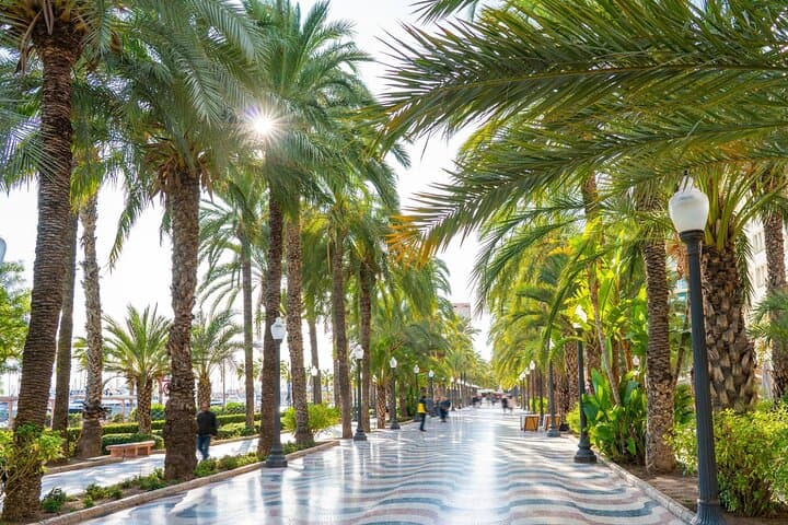 Alicante Tour: Full City, Castle, Market & Tapas Experience