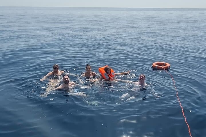 Experience sharing sailboat Marbella, dolphins, drinks ,elan 37