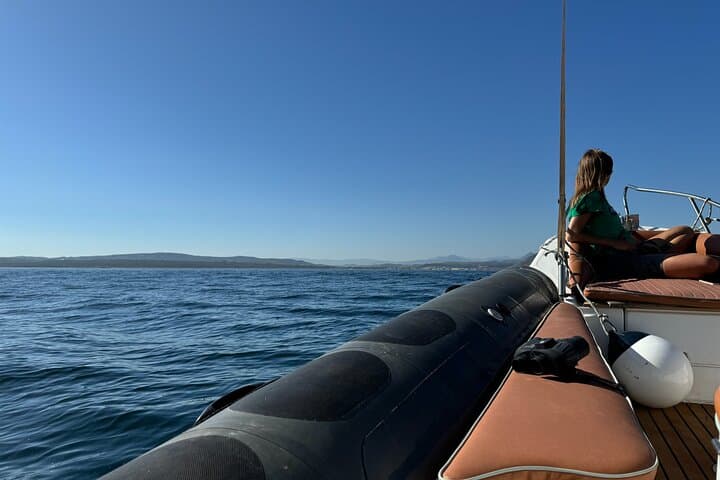 Small Group Dolphin Tour on Hybrid Boat in Sotogrande