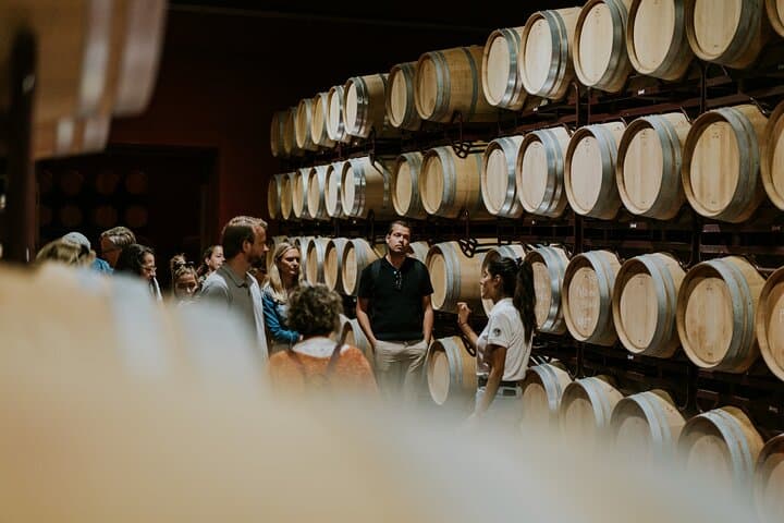 Visit La Joya Escondida de la Ribera del Duero Winery