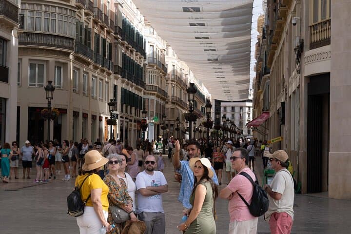 Malaga Private Tour, Roman Theatre, Alcazaba with Tickets Included