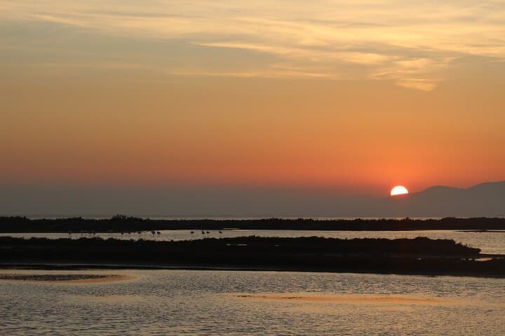 Sunset among flamingos in the Ebro Delta