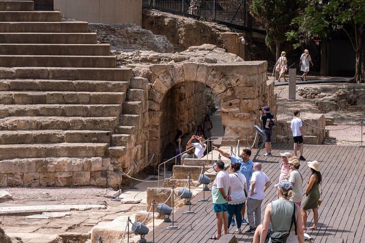 Malaga Private Tour, Roman Theatre, Alcazaba with Tickets Included