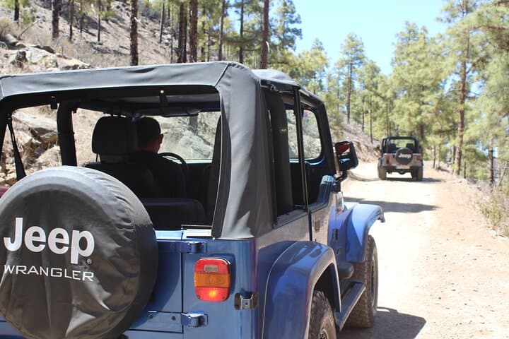 Adventure Driving Jeep Tour in Gran Canaria
