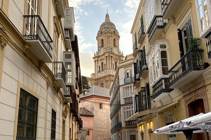 Private Tour to Malaga with Castle and Alcazaba from Seville