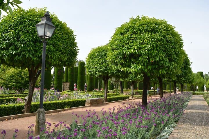 Gardens and Fortress in French