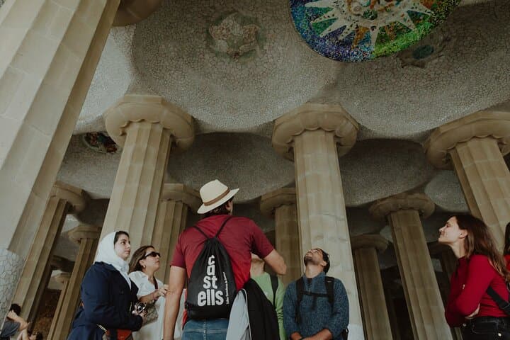 Park Guell Guided Tour in Barcelona with Skip-the-Line