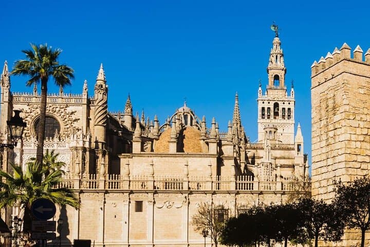 Get to know Seville Cathedral and the Giralda Tower in an exclusive and simple way, leave it in our hands!
